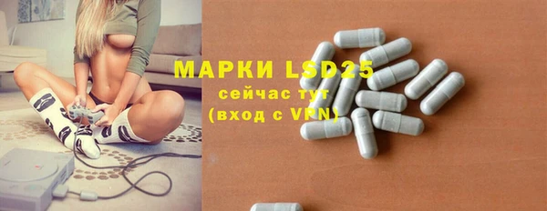 стафф Алзамай