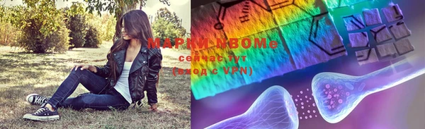 стафф Алзамай