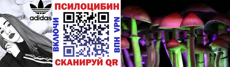 Галлюциногенные грибы Cubensis Сясьстрой
